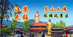 大屌插子宫江苏无锡灵山大佛旅游风景区